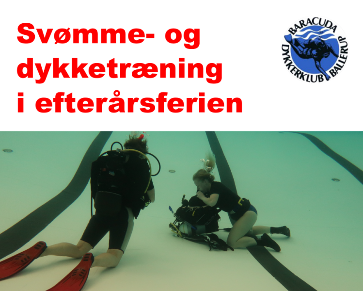 ingen-svomme-og-dykketraening-i-efterarsferien-3