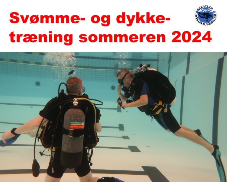 svomning-i-sommerferien-2024-3